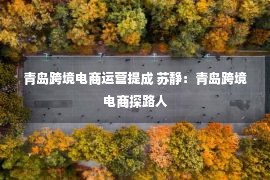 青岛跨境电商运营提成 苏静：青岛跨境电商探路人