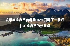 安币加密货币有哪些 B21 开辟了一条通往加密货币的新跑道