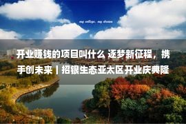 开业赚钱的项目叫什么 逐梦新征程，携手创未来丨招银生态亚太区开业庆典隆重举行！