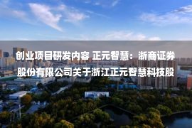 创业项目研发内容 正元智慧：浙商证券股份有限公司关于浙江正元智慧科技股份有限公司向不特定对象发行可转换公司债券并在创业板上市之上市保荐书