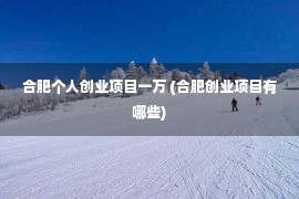 合肥个人创业项目一万 (合肥创业项目有哪些)