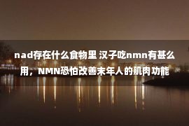 nad存在什么食物里 汉子吃nmn有甚么用，NMN恐怕改善末年人的肌肉功能