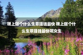 晚上做个什么生意赚钱最快 晚上做个什么生意赚钱最快呢女生