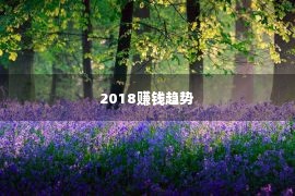 2018赚钱趋势 