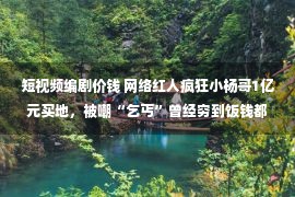 短视频编剧价钱 网络红人疯狂小杨哥1亿元买地，被嘲“乞丐”曾经穷到饭钱都没有