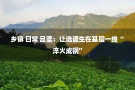 乡镇 日常 吕梁：让选调生在基层一线“淬火成钢”