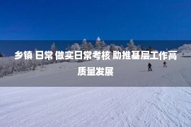 乡镇 日常 做实日常考核 助推基层工作高质量发展