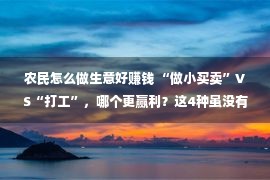 农民怎么做生意好赚钱 “做小买卖”VS“打工”，哪个更赢利？这4种虽没有起眼，但成本高