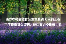 南方农村能做什么生意赚钱 万元能正在屯子投资甚么项目？这边有六个挑选，想赢利的别错过！