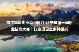 加工缝纫创业项目简介:辽宁省第一届职业技能大赛｜比赛项目之乡村振兴