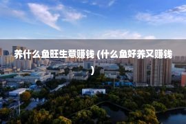 养什么鱼旺生意赚钱 (什么鱼好养又赚钱)