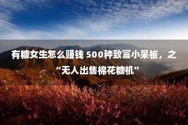 有糖女生怎么赚钱 500种致富小呆板，之“无人出售棉花糖机”