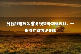 纯视频号怎么赚钱 视频号副业项目，一张图片就也许变现