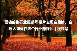 赚钱的副行业视频号 唱片公司在赌博，音乐人如何在这个行业赚钱？｜视频号