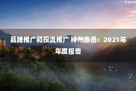 品牌推广和投流推广 神州泰岳：2021年年度报告