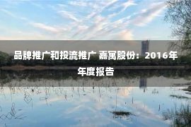 品牌推广和投流推广 嘉寓股份：2016年年度报告