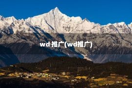 wd 推广(wd推广)