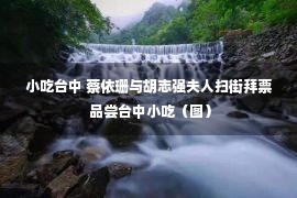 小吃台中 蔡依珊与胡志强夫人扫街拜票 品尝台中小吃（图）