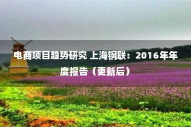 电商项目趋势研究 上海钢联：2016年年度报告（更新后）