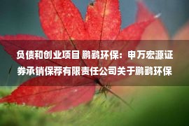 负债和创业项目 鹏鹞环保：申万宏源证券承销保荐有限责任公司关于鹏鹞环保股份有限公司以简易程序向特定对象发行股票并在创业板上市之发行保荐书