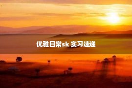 优雅日常sk 实习速递