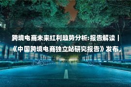 跨境电商未来红利趋势分析:报告解读｜《中国跨境电商独立站研究报告》发布，独立站是短期红利还是长期趋势？