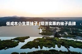 低成本小生意袜子 (经济实惠的袜子品牌)