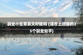 副业小生意夏天好做吗 (适合上班族的25个副业知乎)