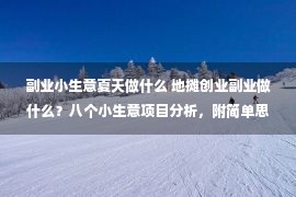 副业小生意夏天做什么 地摊创业副业做什么？八个小生意项目分析，附简单思路