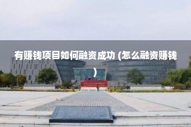 有赚钱项目如何融资成功 (怎么融资赚钱)