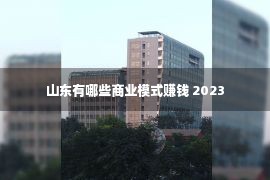 山东有哪些商业模式赚钱 2023