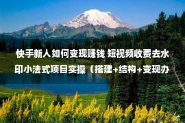 快手新人如何变现赚钱 短视频收费去水印小法式项目实操（搭建+结构+变现办法+引流）