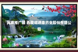 高级推广图 西藏诺迪康药业股份有限公司