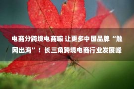 电商分跨境电商嘛 让更多中国品牌“触网出海”！长三角跨境电商行业发展峰会无锡举办