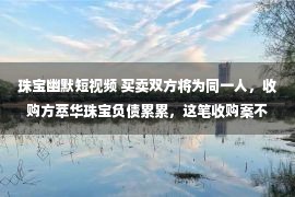 珠宝幽默短视频 买卖双方将为同一人，收购方萃华珠宝负债累累，这笔收购案不简单