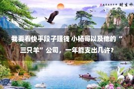 我要看快手段子赚钱 小杨哥以及他的“三只羊”公司，一年能支出几许？