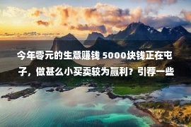 今年零元的生意赚钱 5000块钱正在屯子，做甚么小买卖较为赢利？引荐一些