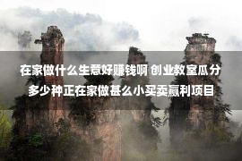 在家做什么生意好赚钱啊 创业教室瓜分多少种正在家做甚么小买卖赢利项目