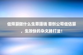 低预算做什么生意赚钱 首创公司低估算，生效快的杂文牌打法！