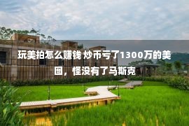 玩美拍怎么赚钱 炒币亏了1300万的美图，怪没有了马斯克