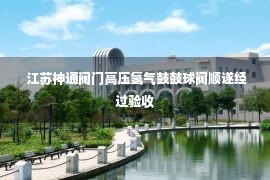  江苏神通阀门高压氢气鼓鼓球阀顺遂经过验收