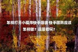 怎样打开小程序快手赚钱 快手团购应该怎样做？远景若何？