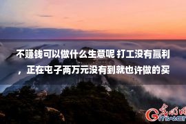 不赚钱可以做什么生意呢 打工没有赢利，正在屯子两万元没有到就也许做的买卖，再也没有用背井离乡