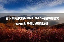  若何挑选优质NMN？NAD+前体胞倍力NMN对于眼力可靠动机