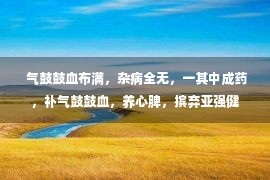  气鼓鼓血布满，杂病全无，一其中成药，补气鼓鼓血，养心脾，摈弃亚强健