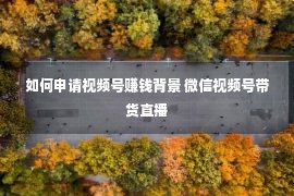 如何申请视频号赚钱背景 微信视频号带货直播