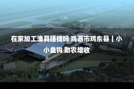 在家加工渔具赚钱吗 鸡西市鸡东县丨小小鱼钩 助农增收