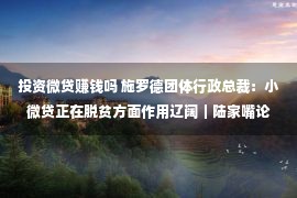 投资微贷赚钱吗 施罗德团体行政总裁：小微贷正在脱贫方面作用辽阔｜陆家嘴论坛