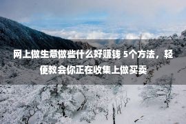 网上做生意做些什么好赚钱 5个方法，轻便教会你正在收集上做买卖