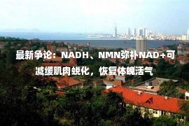  最新争论：NADH、NMN弥补NAD+可减缓肌肉蜕化，恢复体魄活气